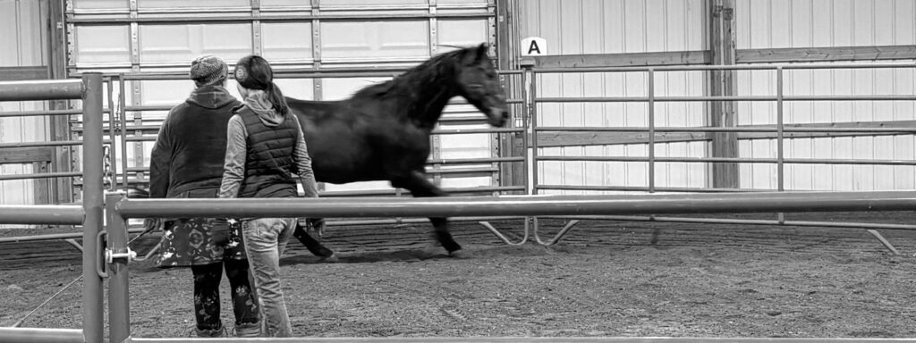 Sun Valley Steadfast (SVS) offers a four-day therapeutic intensive for women survivors of sexual abuse, integrating experiential modalities such as equine-assisted therapy, expressive arts, psycho education, individual sessions, and movement. October 15-18, 2026.