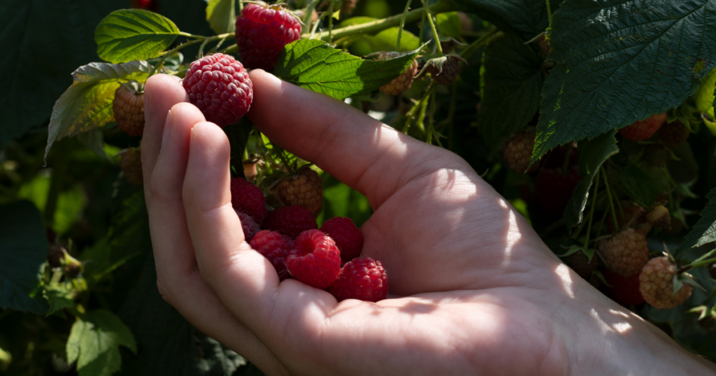 Self-compassion isn’t the opposite of accountability—it requires it. It holds the truth that we’re doing our best and that there’s room to grow. It allows us to meet ourselves with patience and honesty. And when we can name what’s really going on underneath our behaviors, change doesn’t have to be forced. It starts to unfold with more ease—like summer itself.